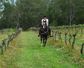 Port Macquarie Horse Riding Centre - Accommodation Asia 1