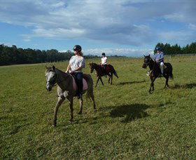 Port Macquarie Horse Riding Centre - Accommodation Asia 5