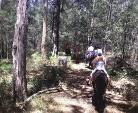 Port Macquarie Horse Riding Centre - Accommodation Asia 4