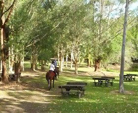 Port Macquarie Horse Riding Centre - Accommodation Asia 6