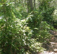 Bridle trail - Accommodation Asia