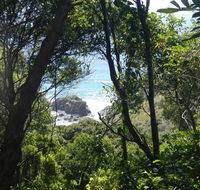 Rainforest walking track - Accommodation Asia