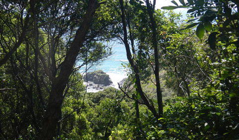 Rainforest Walking Track - Accommodation Asia 0