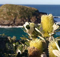 Green Island walking track - Accommodation Asia
