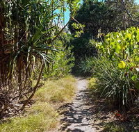North Head walking track - Accommodation Guide