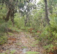 Kinchela Trig Lookout walk - Accommodation Asia