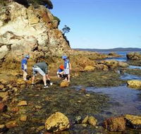 Sapphire Coast Marine Discovery Centre - Accommodation Asia