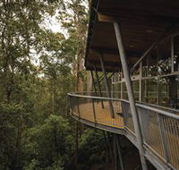 Tarkine Forest Adventures - Dismal Swamp - Accommodation Guide