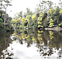 Arthur River - Accommodation Guide