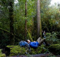 The Tarkine Drive - Accommodation Guide
