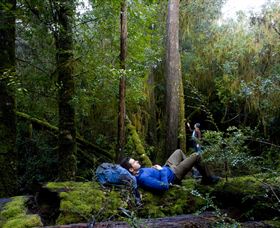The Tarkine Drive - Accommodation China 0