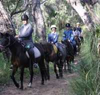 Mirravale Horse Riding School - Accommodation Guide
