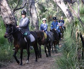 Mirravale Horse Riding School - Accommodation Guide 0