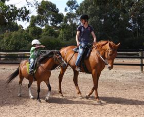 Mirravale Horse Riding School - Accommodation Guide 1