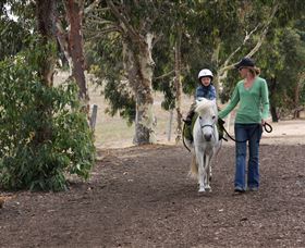 Mirravale Horse Riding School - Accommodation Guide 2