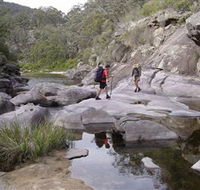 Nadgee Wilderness Walk - Accommodation Asia