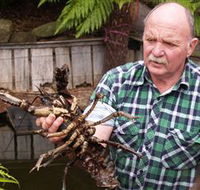 Lobster Ponds - Accommodation Guide