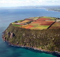 Table Cape - Accommodation Guide