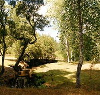 Oldina Picnic Area - Accommodation Guide