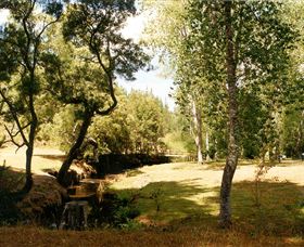 Oldina Picnic Area - Accommodation Guide 0