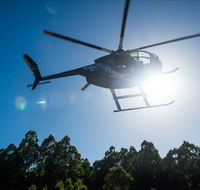 Tall Timbers Adventure Tours - Accommodation Guide
