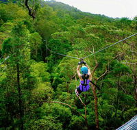 Canyon Flyer - Accommodation Asia