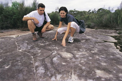 Sydney Coast Walks - Accommodation China 2