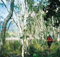 Thorsborne Trail Hinchinbrook Island National Park - Accommodation Guide
