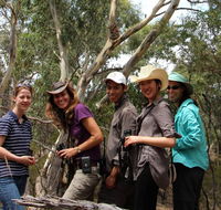 Echidna Walkabout Nature Tours - Accommodation Guide