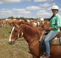 Myella Farm Stay Tours - Accommodation Asia