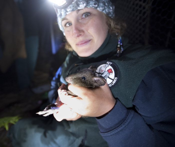 Tidbinbilla ACT Accommodation China