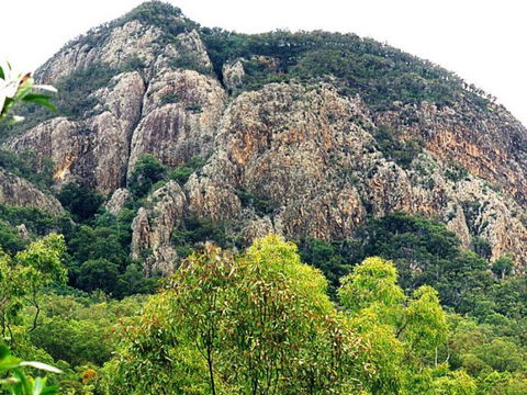 Mount Greville Track - Accommodation Guide 1