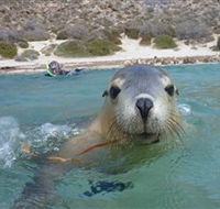 Calypso Star Charters - Accommodation Asia