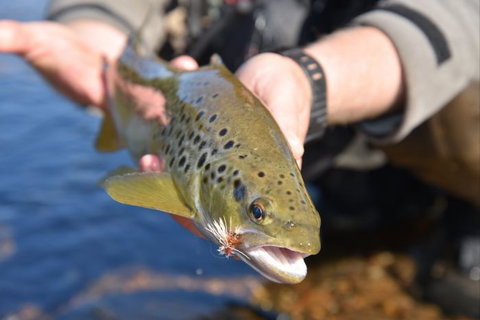 River Escapes - Accommodation Guide 2