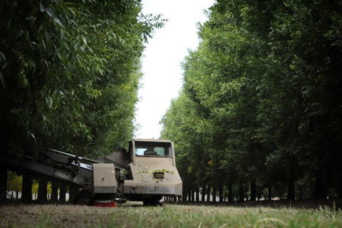 ODempseys Charters And Tours - Accommodation Asia 1