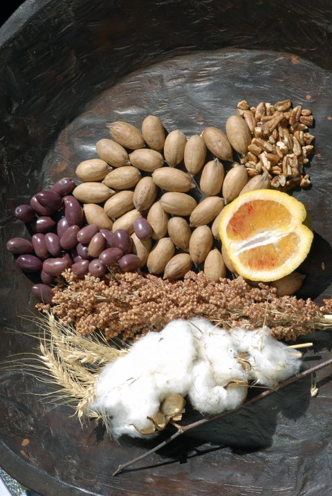 ODempseys Charters And Tours - Accommodation Asia 2