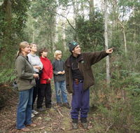 Great Western Tiers Forest Walks Tasmania - Accommodation Guide