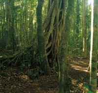 Tullawallal circuit - Accommodation China