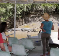 Whitsunday Crocodile Safari - Accommodation Guide