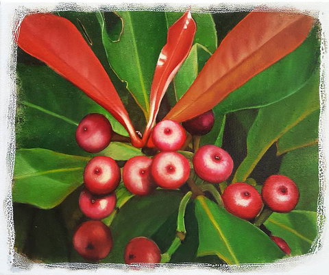 Claire Souter Gallery - Accommodation Guide 2