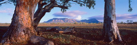 Nissarana Galleries Noosa - Accommodation Guide 1