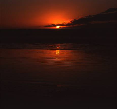 Nissarana Galleries Noosa - Accommodation Guide 3