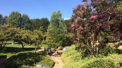 Lennox Gardens - Accommodation China 0