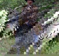 AAA Horse Riding  More - Accommodation Asia