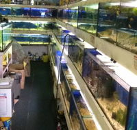Clearwater Aquariums - Accommodation Asia