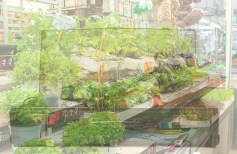 Warrawong Markets - Accommodation China 2