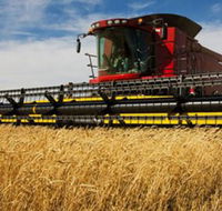 Quirindi Grain and produce - Accommodation China