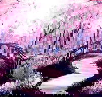 Pink Forest - Boardwalk Bar 4.00-6.00pm - Accommodation Asia