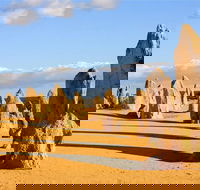 Pinnacles and Yanchep National Park Day Trip from Perth Including Lobster Shack Lunch and Sandboarding - Accommodation Guide