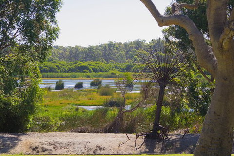 Pinnacles And Yanchep National Park Day Trip From Perth Including Lobster Shack Lunch And Sandboarding - Accommodation China 10